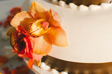 Orange Tropical Wedding Cake Flowers