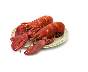 Plate with two red lobsters on white background