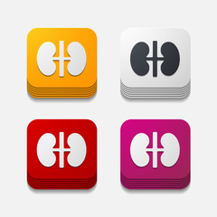 square button: kidneys