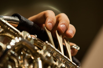 Obraz premium Fingers of a musician playing the French horn