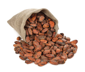 Cocoa beans in a bag