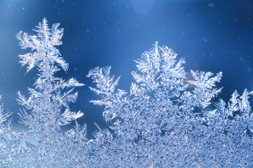 schneeblumen an scheibe