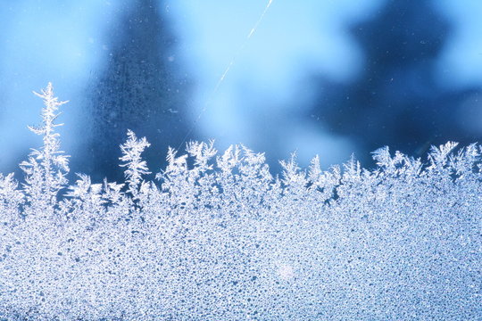 schneeblumen an scheibe