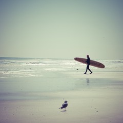 Surfer and Seagull