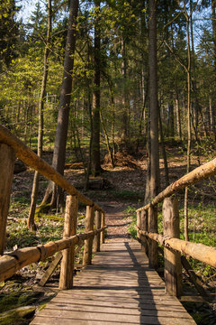 Wanderweg im Harz Holzbr&uuml;cke &uuml;ber Bachlauf