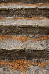 Treppe aus Naturstein im Herbst