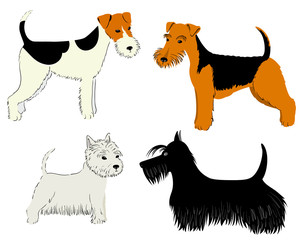 dogs breeds