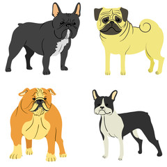 dog breeds