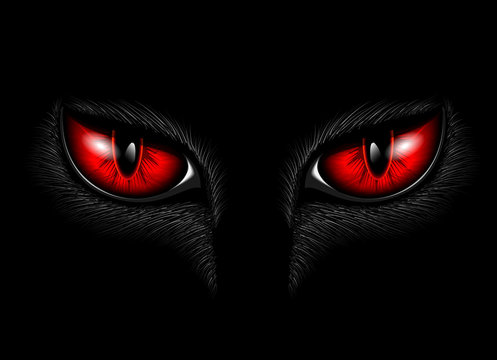 red cat's eyes