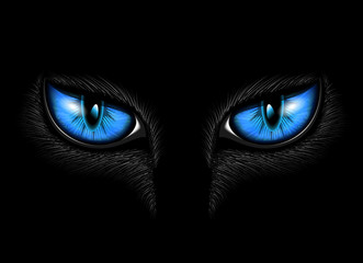 blue cat's eye