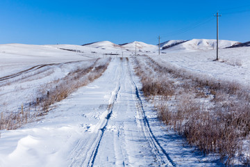 Fototapeta premium Winter pasture