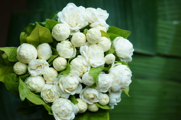 Beautiful White Jasmine Flowers bouquet