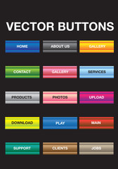 Vector Button Illustration Set