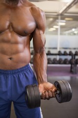 Fototapeta na wymiar Muscular man exercising with dumbbell in gym