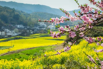 Tuinposter Verkrachtingsbloemen en Chinese oude gebouwen in Wuyuan, China © 06photo