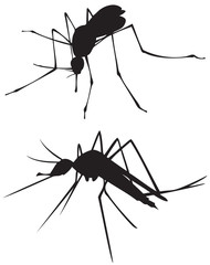 mosquito silhouette