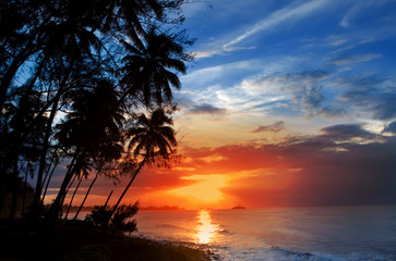 Naklejka na ściany i meble Palm trees silhouette and a sunset over the sea