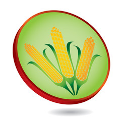 Corn, maize abstract illustration