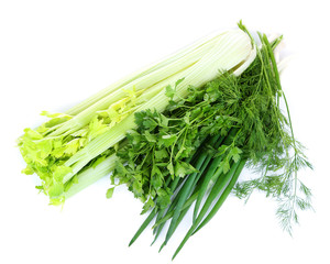 Fresh green celery and herbs, isolated on white