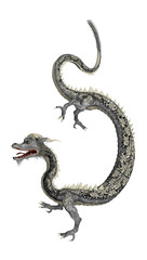 Fototapeta premium Eastern Dragon