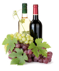 Obraz na płótnie Canvas Two wine bottles and grapes