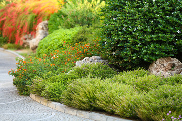 Beautiful landscaping in garden
