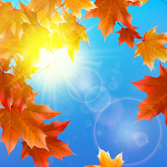 Delicate autumn sun with glare on blue sky.