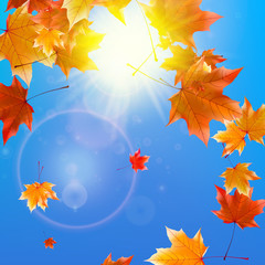 Delicate autumn sun with glare on blue sky.