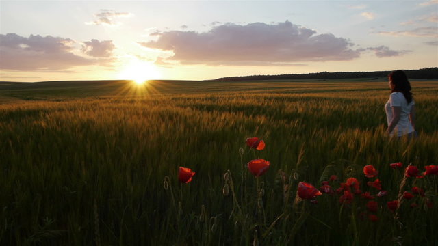girl walking through a corn field towards a sunset
