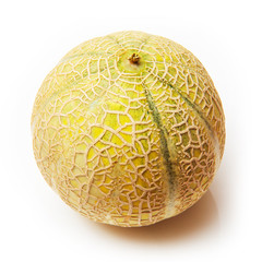 Canteloupe melon fruit (Cucumis melo)