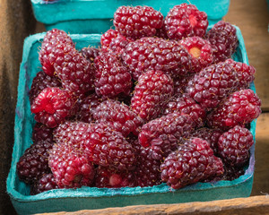 Fresh Tayberries in boxes at market