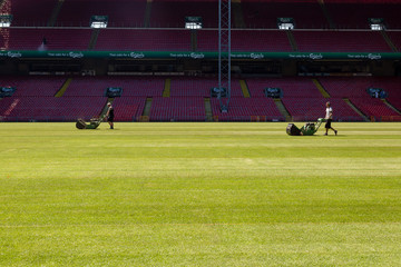 Naklejka premium Greenkeepers at Parken national stadium