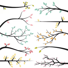 Fotobehang Vector Collection of Tree Branch Silhouettes © pinkpueblo