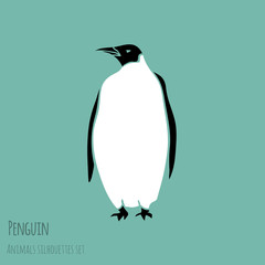 black and white penguin
