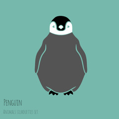 black and white penguin