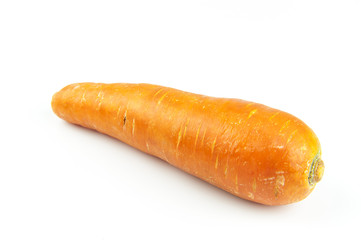 Carrot on white background