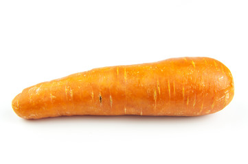 Carrot on white background