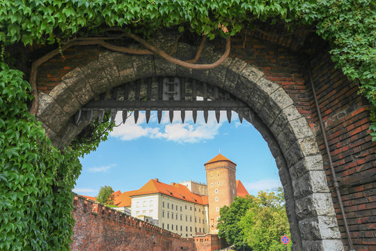 Fototapeta Cracow -  Wawel Castle