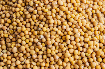 Mustard seeds