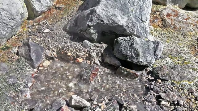 Geyser in Yellowstone