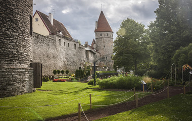 Fototapeta na wymiar the Ancient tower in Tallin city, Estonia - Kiek in de Kok