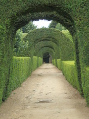 Portugal - Vila Real - allée verte Jardin Manoir de Mateus