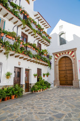 Fototapeta na wymiar Canillas de Albaida in Spain, a traditional white town/village