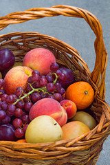 Grapes, peach, plums, harvest