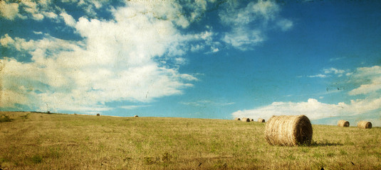 Hay-roll on field after harvest © erika8213