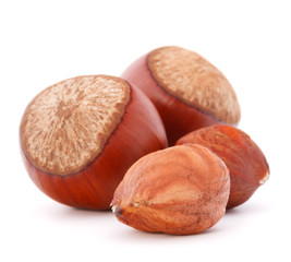 hazelnut or filbert nut isolated on white background cutout