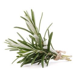 rosemary herb spice leaves isolated on white background cutout