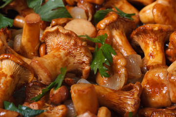 background of roasted chanterelle mushrooms horizontal