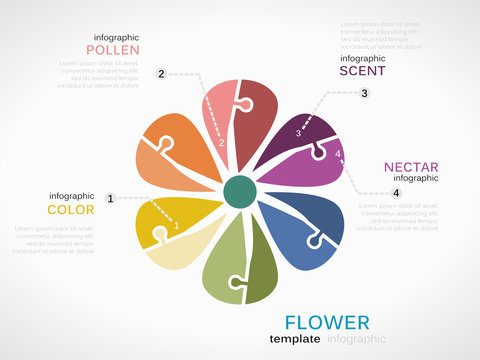 Nature concept infographic template with flower