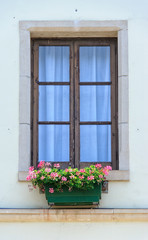 Fototapeta na wymiar Windows with flowers